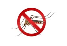 Polskie miasto wykorzystało drony w walce z komarami