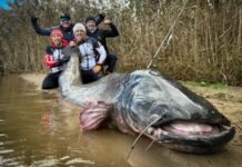 Polscy wędkarze pobili rekord świata. Ta ryba, to prawdziwy potwór